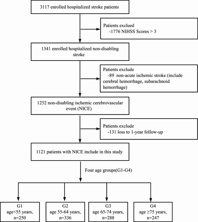 Impact of age on clinical characteristics and 1-year outcomes of non-disabling ischemic cerebrovascular events: A multicenter prospective cohort study.