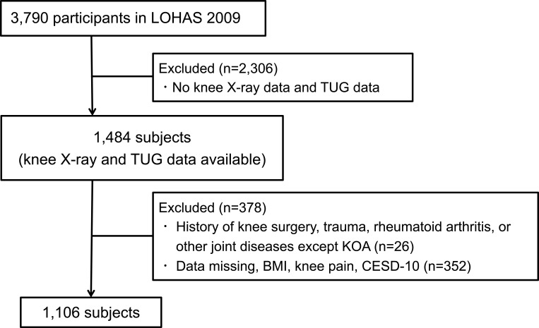 Influence of Knee Osteoarthritis Severity, Knee Pain, and Depression on Physical Function: A Cross-Sectional Study.