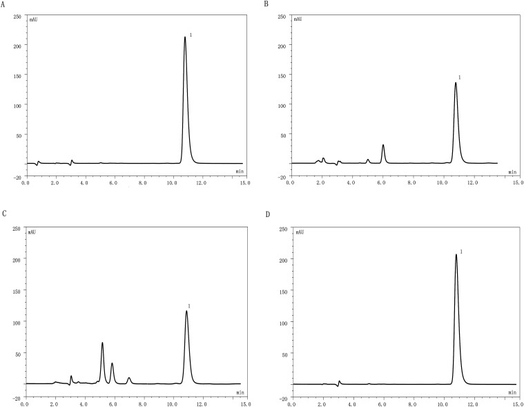 Ramosetron 3.0 μg/mL Combining with Dexamethasone (0.05, 0.1, 0.2 mg/mL) in Infusion Solutions: A Physicochemical Stability Study.