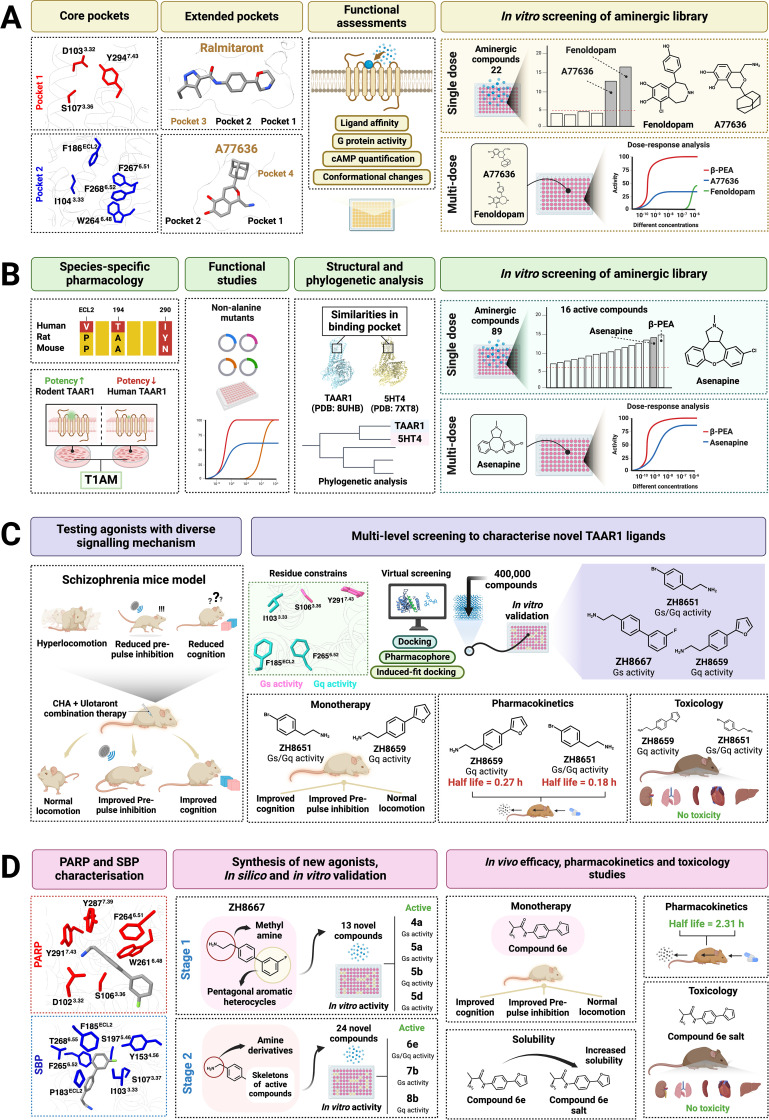 Unlocking the secrets of trace amine-associated receptor 1 agonists: new horizon in neuropsychiatric treatment.