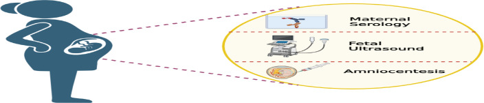 Current and Emerging Techniques for Diagnosis of Toxoplasmosis in Pregnancy: A Narrative Review.