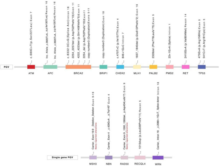 Patterns and Frequency of Pathogenic Germline Variants Among Prostate Cancer Patients Utilizing Multi-Gene Panel Genetic Testing.