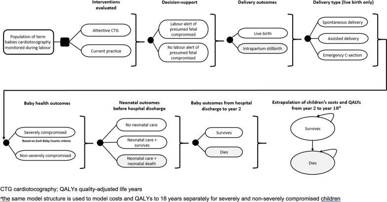 Exploring the potential cost-effectiveness of a new computerised decision support tool for identifying fetal compromise during monitored term labours: an early health economic model.