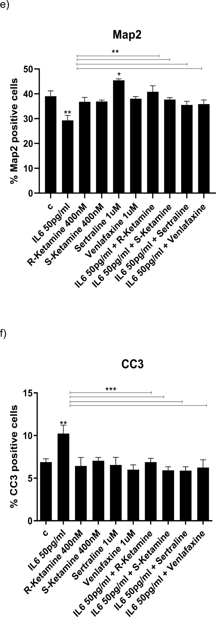 Ketamine Prevents Inflammation-Induced Reduction of Human Hippocampal Neurogenesis via Inhibiting the Production of Neurotoxic Metabolites of the Kynurenine Pathway.