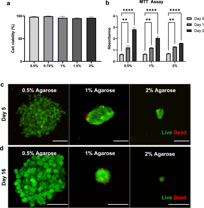 Novel 3-D Macrophage Spheroid Model Reveals Reciprocal Regulation of Immunomechanical Stress and Mechano-Immunological Response.