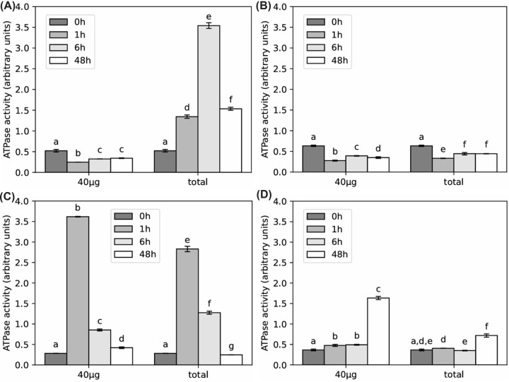 C4 grasses employ distinct strategies to acclimate rubisco activase to heat stress.