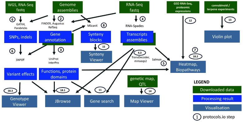 Building a community-driven bioinformatics platform to facilitate <i>Cannabis sativa</i> multi-omics research.
