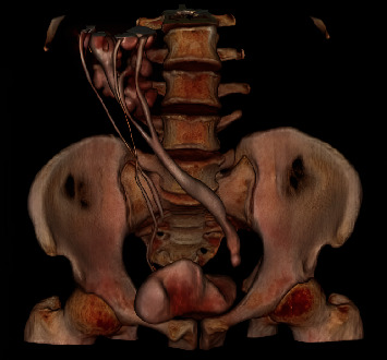 Abstract Image