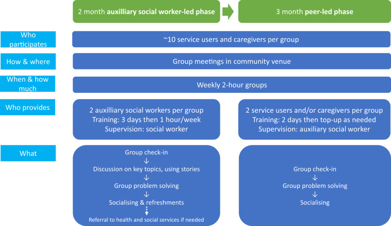Peer-led recovery groups for people with psychosis in South Africa (PRIZE): Results of a randomized controlled feasibility trial.