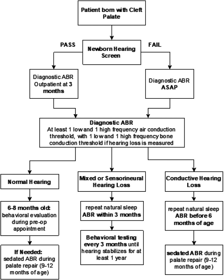 An Enhanced Audiologic Protocol for Early Identification of Conductive Hearing Loss in Patients with Cleft Palate.