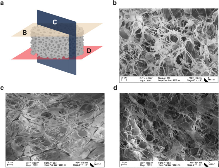 Mechanical and functional characterisation of a 3D porous biomimetic extracellular matrix to study insulin secretion from pancreatic β-cell lines.