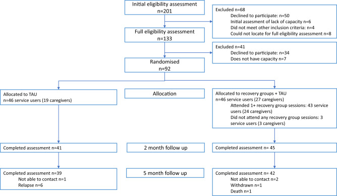 Peer-led recovery groups for people with psychosis in South Africa (PRIZE): Results of a randomized controlled feasibility trial.
