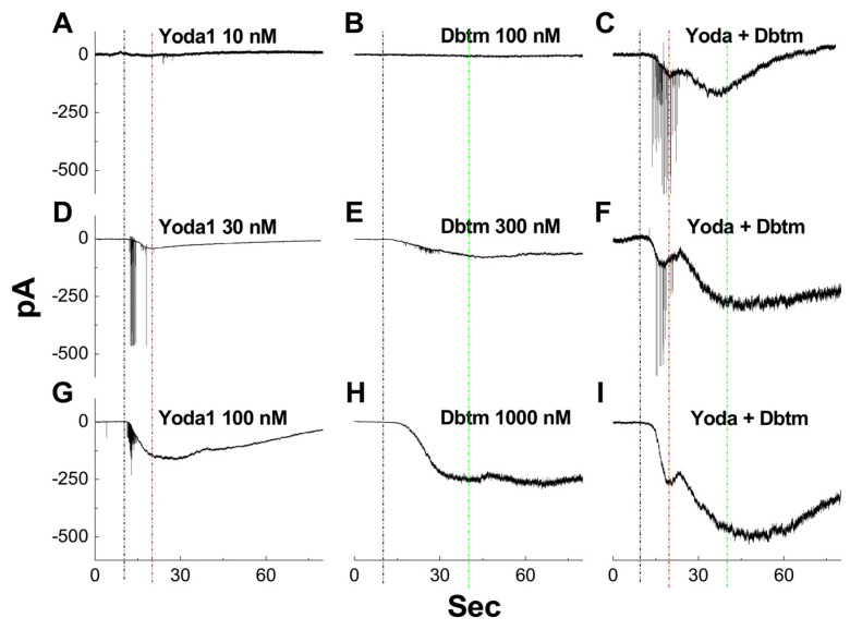 Caution for Multidrug Therapy: Significant Baroreflex Afferent Neuroexcitation Coordinated by Multi-Channels/Pumps Under the Threshold Concentration of Yoda1 and Dobutamine Combination.