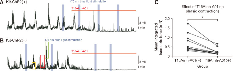 Insights Into Gastrointestinal Motility Through the Use of Optogenetic Sensors.