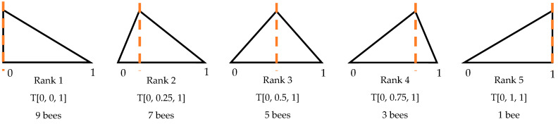 A New Single-Parameter Bees Algorithm.
