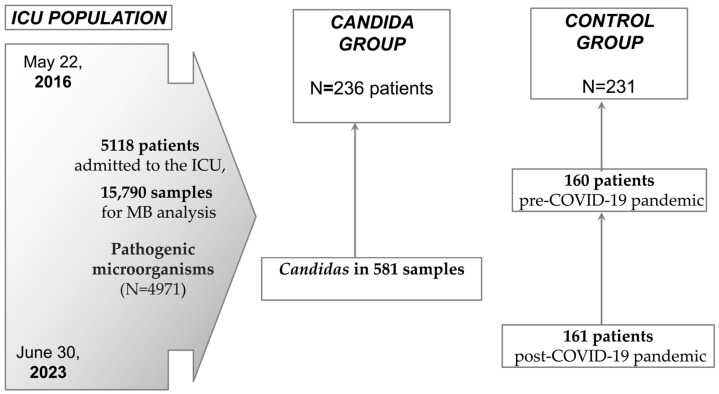 Isolation of <i>Candida</i> Species Is Associated with Comorbidities, Prolonged Mechanical Ventilation, and Treatment Outcomes in Surgical ICU Patients, a Cross-Sectional Study.