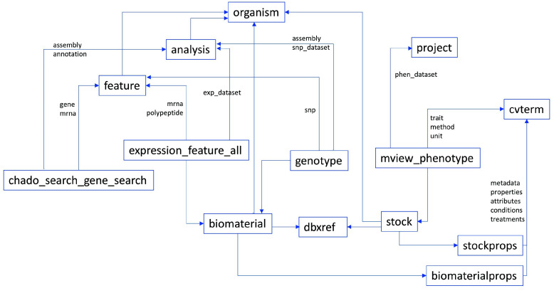 Building a community-driven bioinformatics platform to facilitate <i>Cannabis sativa</i> multi-omics research.