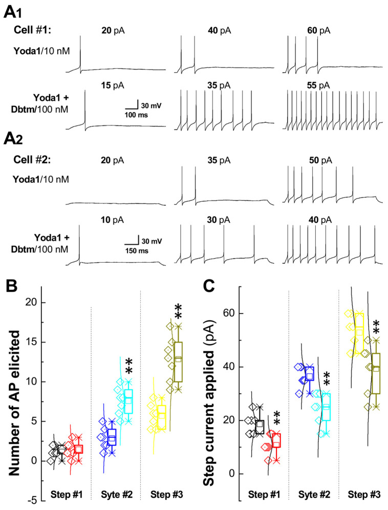 Caution for Multidrug Therapy: Significant Baroreflex Afferent Neuroexcitation Coordinated by Multi-Channels/Pumps Under the Threshold Concentration of Yoda1 and Dobutamine Combination.