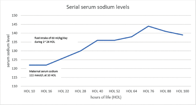 Case Report-Severe Hyponatremia at Birth in a Premature Infant.