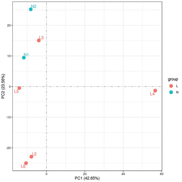 Exploring Differentially Expressed Genes and Immune Modulation in Diffuse Large B-Cell Lymphoma through RNA Sequencing Analysis.