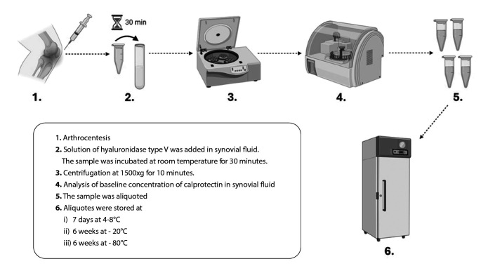 Short- and long-term stability of synovial fluid calprotectin.