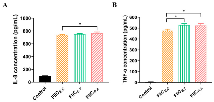 Differential Adjuvant Activity by Flagellins from <i>Escherichia coli</i>, <i>Salmonella enterica</i> Serotype Typhimurium, and <i>Pseudomonas aeruginosa</i>.