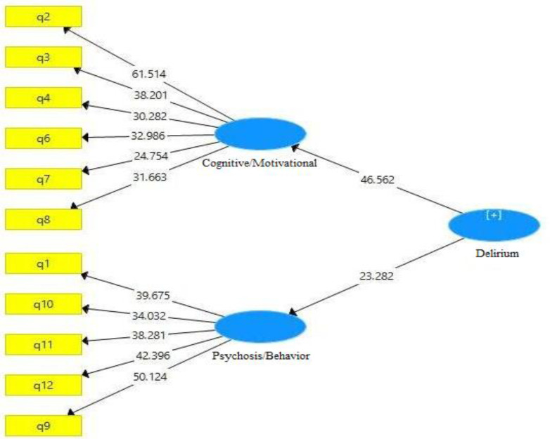 Checking the Validity and Reliability of the Delirium-O-Meter Questionnaire in the Persian Language.