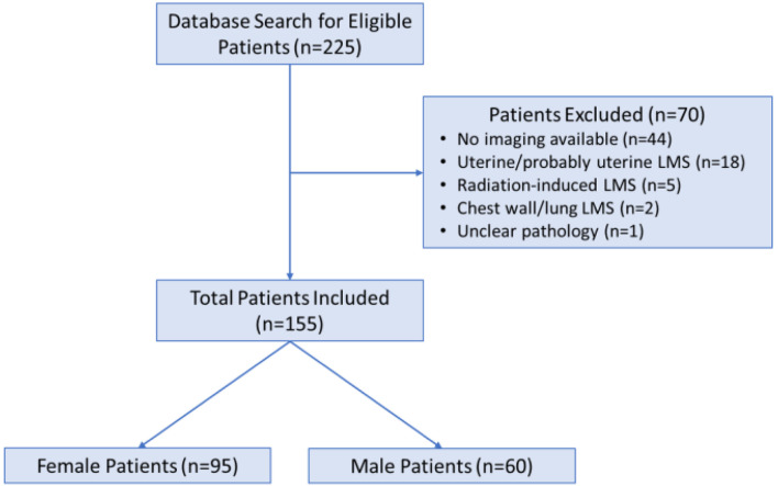 On the Origin of Abdominal Venous Leiomyosarcomas: The Role of the Sex-Hormone Drainage Pathways.
