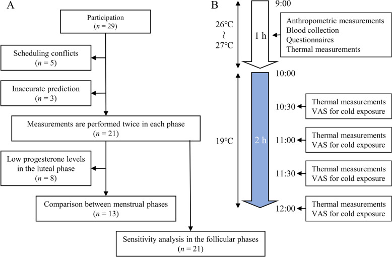 Association of brown adipose tissue activity with circulating sex hormones and fibroblast growth factor 21 in the follicular and luteal phases in young women.