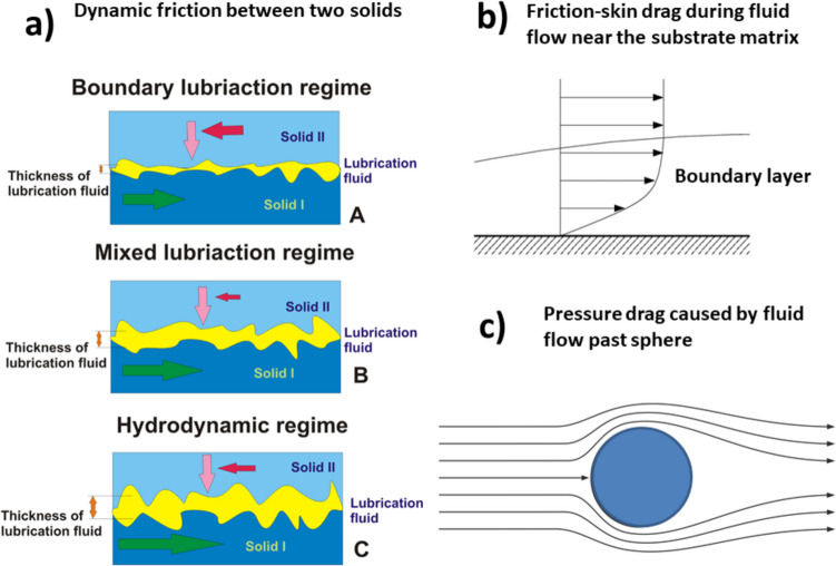 Friction in soft biological systems and surface self-organization: the role of viscoelasticity.
