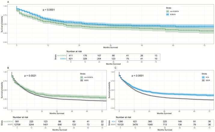Determinants of Outcomes for Acute Myeloid Leukemia Patients Treated in a Community-Based Specialized Versus Non-Specialized Hospital Setting.
