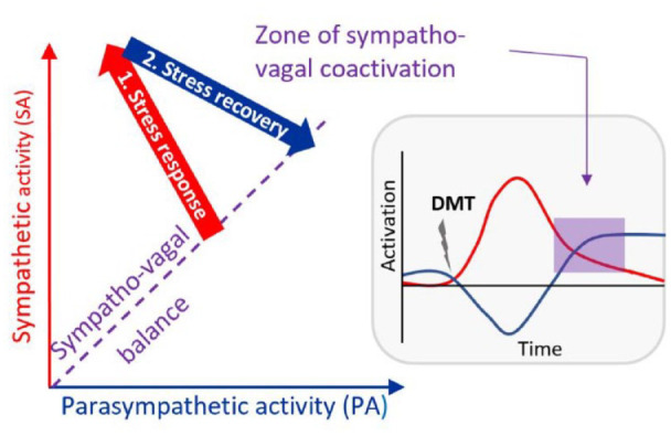 Autonomic nervous system activity correlates with peak experiences induced by DMT and predicts increases in well-being.