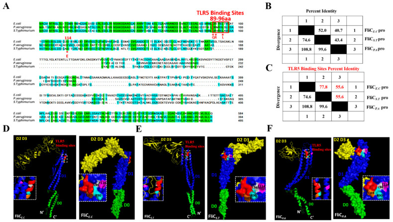 Differential Adjuvant Activity by Flagellins from <i>Escherichia coli</i>, <i>Salmonella enterica</i> Serotype Typhimurium, and <i>Pseudomonas aeruginosa</i>.