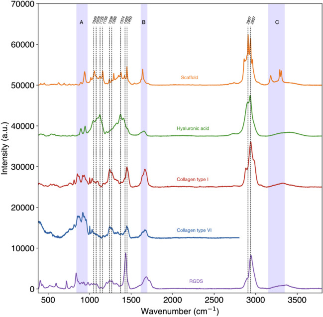 Mechanical and functional characterisation of a 3D porous biomimetic extracellular matrix to study insulin secretion from pancreatic β-cell lines.