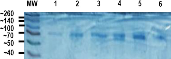 Abstract Image