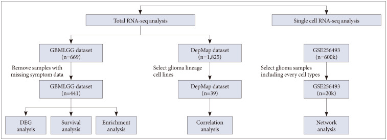 The Inflammatory Characteristics of Symptomatic Glioma Associated With Poor Prognosis and Chemoresistance via Tumor Necrosis Factor Signaling Pathway.
