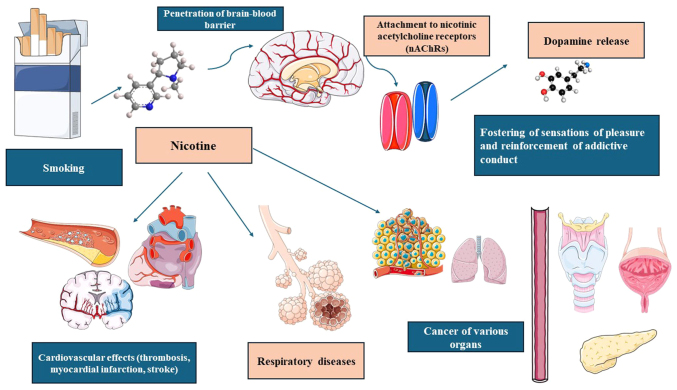 Exploring the association between melatonin and nicotine dependence (Review).