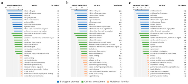Effect of Gossypol on Gene Expression in Swine Granulosa Cells.