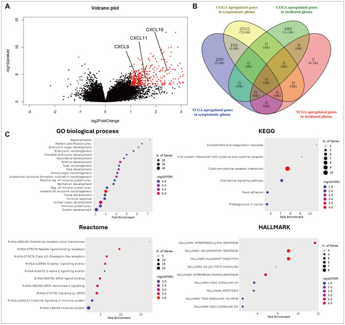 The Inflammatory Characteristics of Symptomatic Glioma Associated With Poor Prognosis and Chemoresistance via Tumor Necrosis Factor Signaling Pathway.