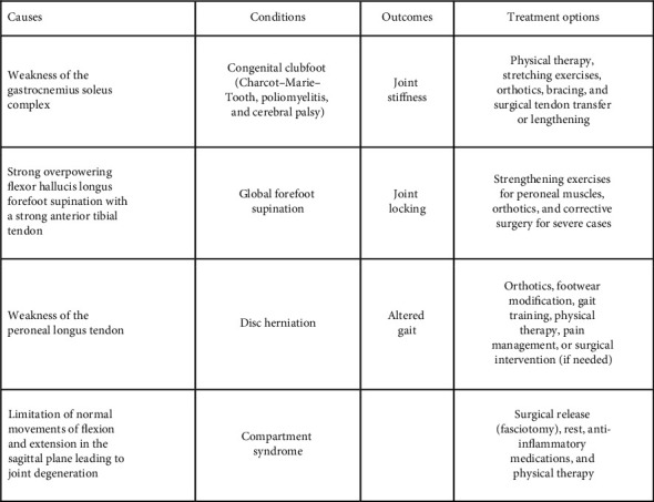 From Etiology to Intervention: A Holistic Review of Bunion Pathophysiology and Care.