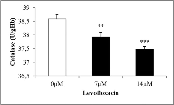 Levofloxacin induces erythrocyte contraction leading to red cell death.