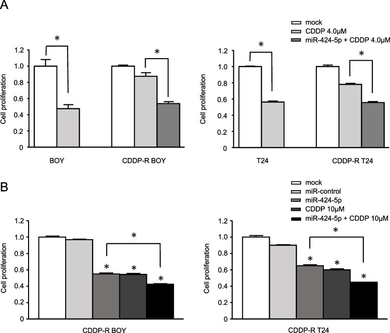Development of a novel treatment based on PKMYT1 inhibition for cisplatin-resistant bladder cancer with miR-424-5p-dependent cyclin E1 amplification.