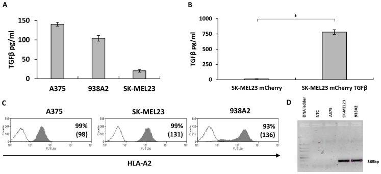 Abstract Image