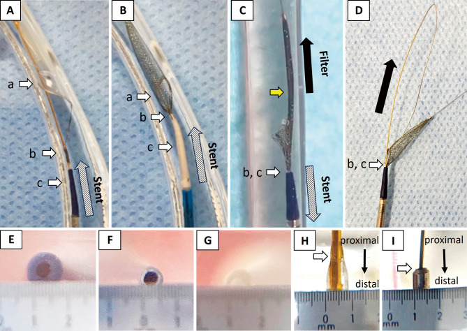 Important Notes for Preventing Entrapment of Distal Filter-based Embolic Protection Device in Carotid Artery Stenting.