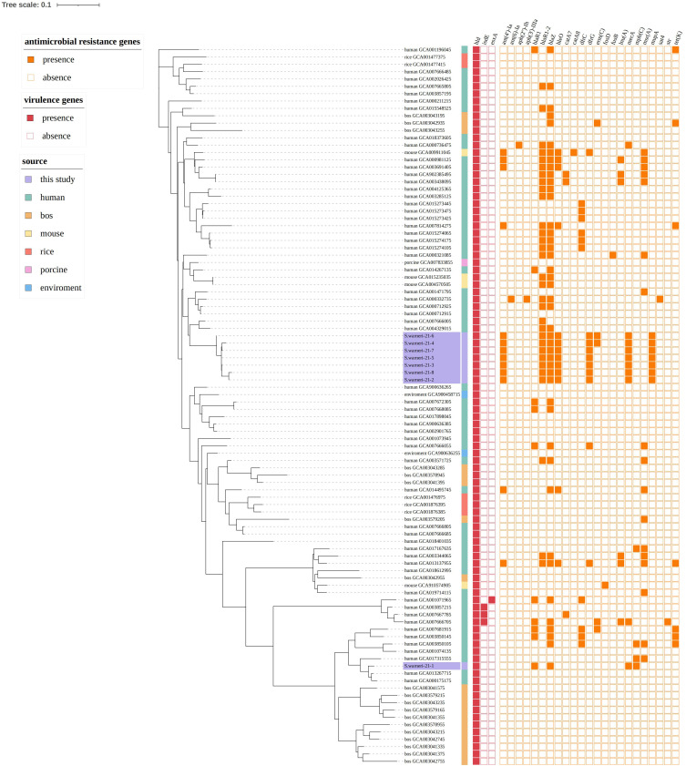 WGS Analysis of <i>Staphylococcus warneri</i> Outbreak in a Neonatal Intensive Care Unit.