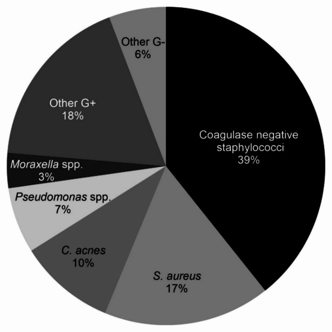 Characterization of infectious bacterial keratitis in Östergötland County, Sweden: a 10-year retrospective study.