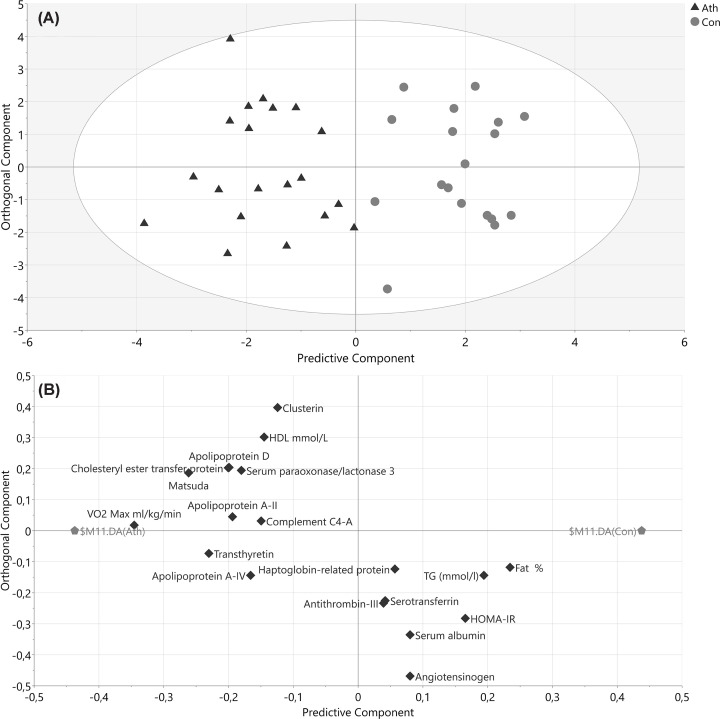 Favourable HDL composition in endurance athletes is not associated with changes in HDL in vitro antioxidant and endothelial anti-inflammatory function.