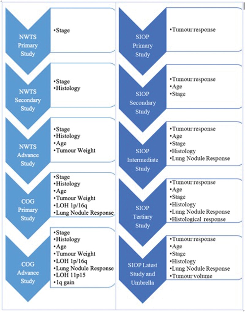 A review on optimization of Wilms tumour management using radiomics.