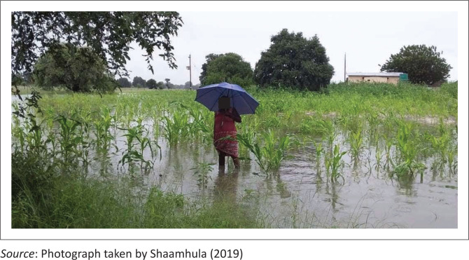 <i>Efundja</i> as a risk driver and change agent for the Cuvelai-Etosha basin rural communities.