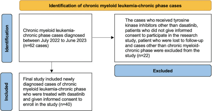 Correlation of T Regulatory Cells, Cytotoxic T-lymphocyte-associated Antigen 4, and Transforming Growth Factor-β1 with Treatment Response in Patients with Chronic Myeloid Leukemia Receiving Dasatinib Therapy.